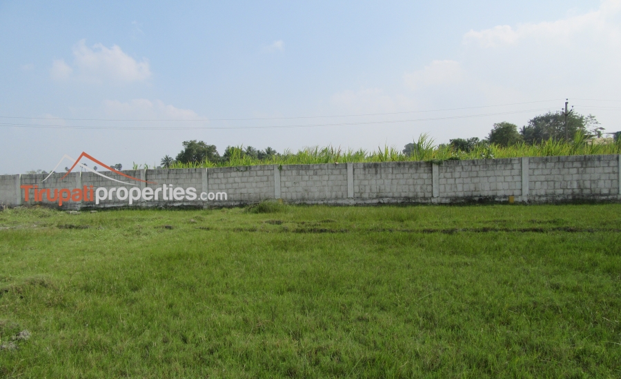 TUDA Approved Residential Plots Venture in Thanapalli, Tirupati
